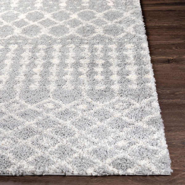 Livabliss Deluxe Shag Polypropylene Rug with Moroccan Pattern Soft Pile Entryway Accent DXS2313-23