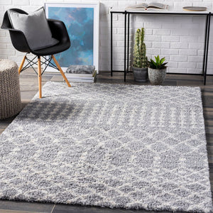 Livabliss Deluxe Shag Polypropylene Rug with Moroccan Pattern Soft Pile Entryway Accent DXS2313-23