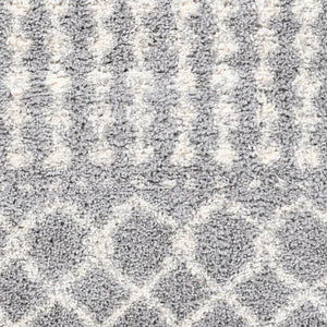 Livabliss Deluxe Shag Polypropylene Rug with Moroccan Pattern Soft Pile Entryway Accent DXS2313-23