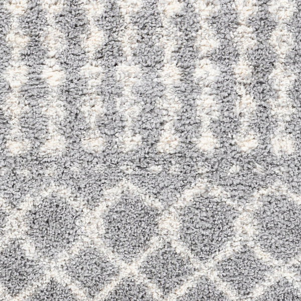 Livabliss Deluxe Shag Polypropylene Rug with Moroccan Pattern Soft Pile Entryway Accent DXS2313-23