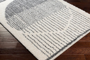 Livabliss Deluxe Shag Polypropylene Area Rug Turkish Woven Plush Pile for Cozy Small Spaces DXS2317-23
