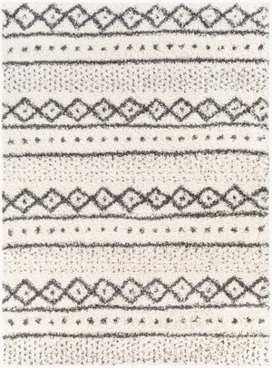 Livabliss Deluxe Shag Polypropylene Bohemian Area Rug Plush High Pile for Entryways and Cozy Nooks DXS2319-23