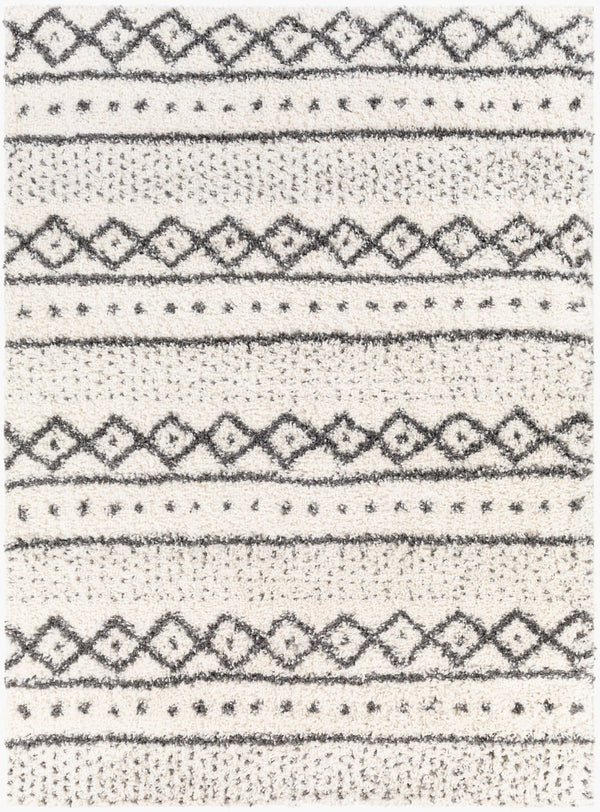 Livabliss Deluxe Shag Polypropylene Bohemian Area Rug Plush High Pile for Entryways and Cozy Nooks DXS2319-23