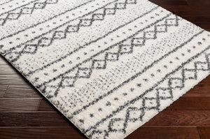 Livabliss Deluxe Shag Polypropylene Bohemian Area Rug Plush High Pile for Entryways and Cozy Nooks DXS2319-23