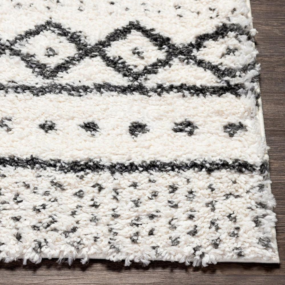 Livabliss Deluxe Shag Polypropylene Bohemian Area Rug Plush High Pile for Entryways and Cozy Nooks DXS2319-23