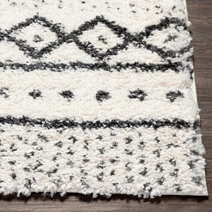 Livabliss Deluxe Shag Polypropylene Bohemian Area Rug Plush High Pile for Entryways and Cozy Nooks DXS2319-23