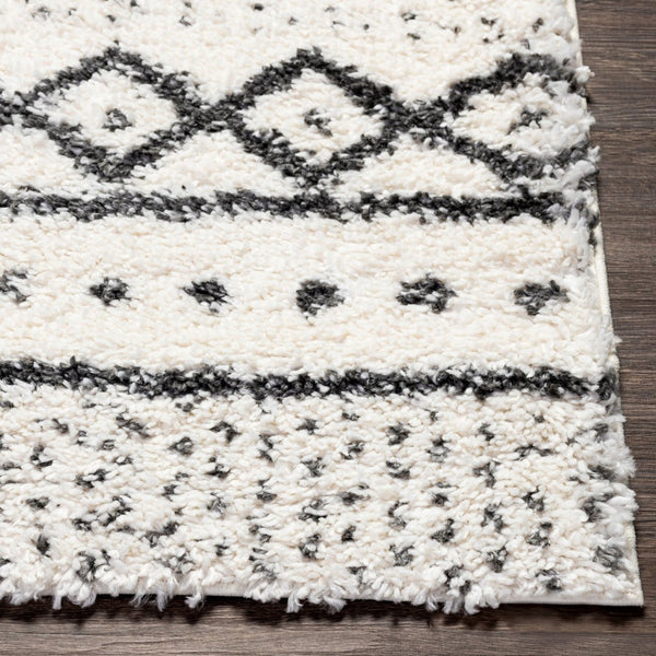 Livabliss Deluxe Shag Polypropylene Bohemian Area Rug Plush High Pile for Entryways and Cozy Nooks DXS2319-23