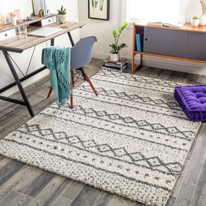 Livabliss Deluxe Shag Polypropylene Bohemian Area Rug Plush High Pile for Entryways and Cozy Nooks DXS2319-23
