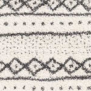 Livabliss Deluxe Shag Polypropylene Bohemian Area Rug Plush High Pile for Entryways and Cozy Nooks DXS2319-23