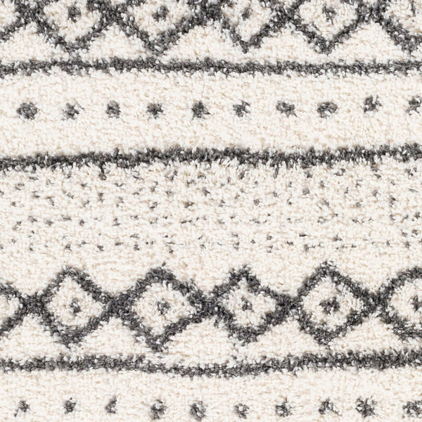 Livabliss Deluxe Shag Polypropylene Bohemian Area Rug Plush High Pile for Entryways and Cozy Nooks DXS2319-23