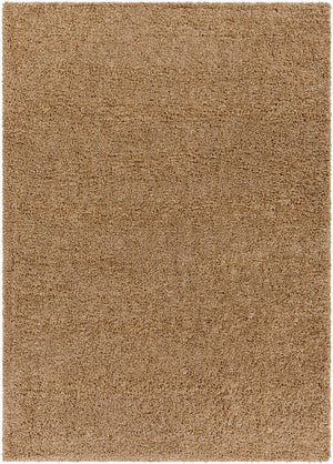 Livabliss Deluxe Shag Polypropylene Area Rug Plush Pile Minimalist Bedroom Entryway Accent DXS2321-23