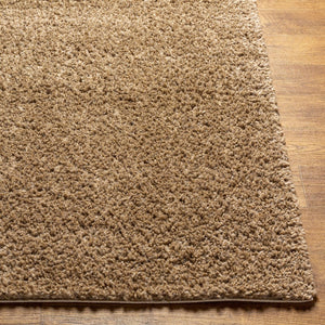 Livabliss Deluxe Shag Polypropylene Area Rug Plush Pile Minimalist Bedroom Entryway Accent DXS2321-23