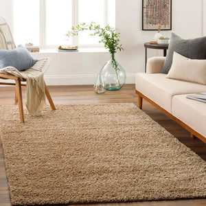 Livabliss Deluxe Shag Polypropylene Area Rug Plush Pile Minimalist Bedroom Entryway Accent DXS2321-23
