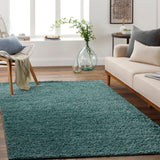 Deluxe Shag DXS-2326 6'7" x 9' Machine Woven Rug DXS2326-679 Livabliss Surya