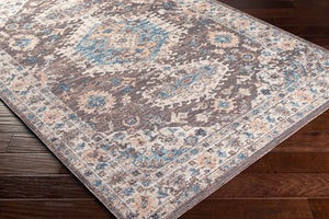 Livabliss Daytona Beach Traditional Runner Rug Polypropylene Blend for Hallways and Entryways Brown, Light Br 8'10" x 12' DYT2305-81012