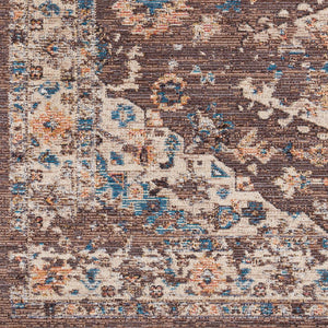 Livabliss Daytona Beach Traditional Runner Rug Polypropylene Blend for Hallways and Entryways Brown, Light Br 8'10" x 12' DYT2305-81012