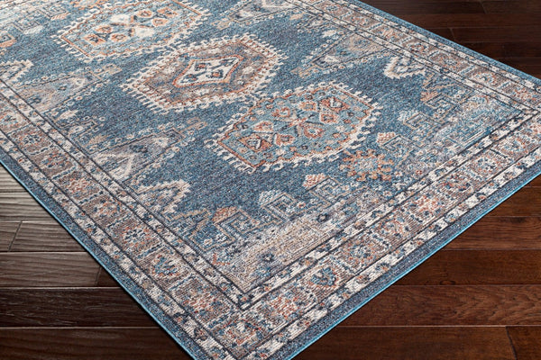 Livabliss Daytona Turkish Machine Woven Runner Rug for Hallway Entryway Traditional Pattern DYT2309-2773