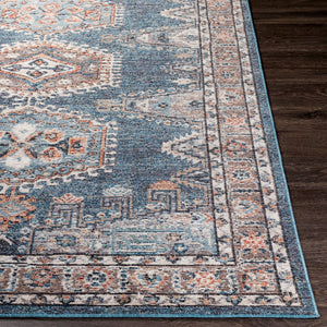 Livabliss Daytona Turkish Machine Woven Runner Rug for Hallway Entryway Traditional Pattern DYT2309-2773