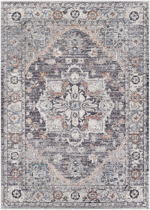 Livabliss Daytona Beach Traditional Outdoor Rug Polypropylene Patio Woven Uv Resistant Light Gray, Bla 5'3" x 7' DYT2311-537