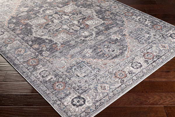 Livabliss Daytona Beach Traditional Outdoor Rug Polypropylene Patio Woven Uv Resistant Light Gray, Bla 5'3" x 7' DYT2311-537