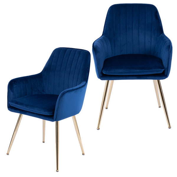English Elm Velvet Mid-Back Dining Chairs Set of 2 with Gold Plated Legs, Plush Upholstery, Removable Cushions, Ergonomic Support Blue W3394P329172