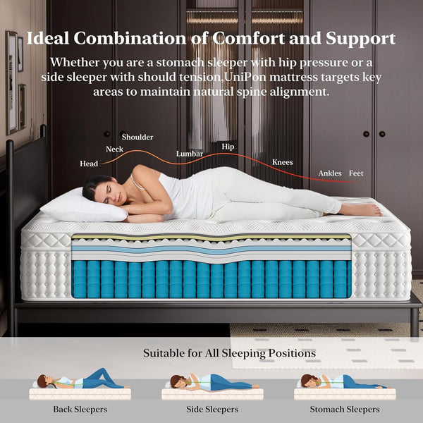 English Elm 12 Inch Queen Gel Foam Pocket Spring Hybrid Mattress Firm Support Spinal Relief B2716P454763