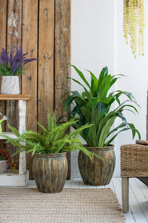 English Elm Set of 2 Distressed Iron Planters with Golden Patina for Indoor Outdoor Decor W2078P498286