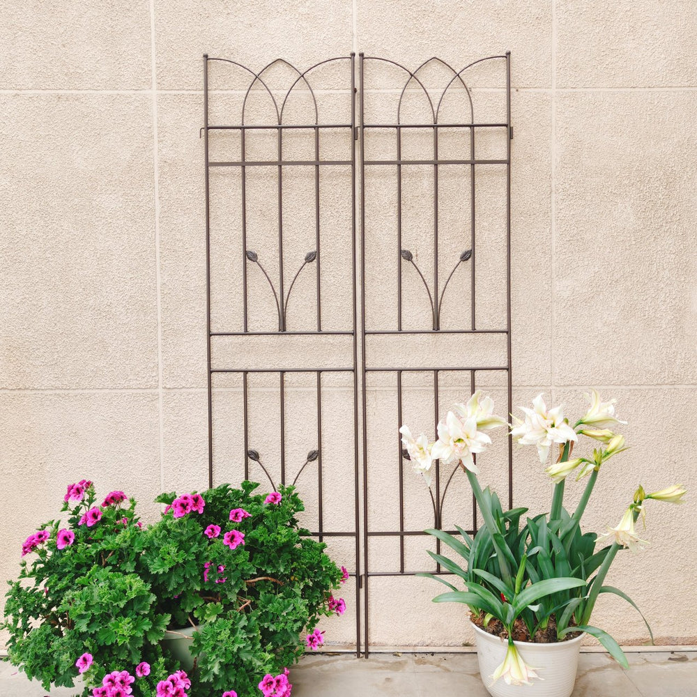 English Elm 4 Pack Powder-coated Metal Garden Trellises Rustproof Climbing Plant Outdoor Support Brown W1586P147459