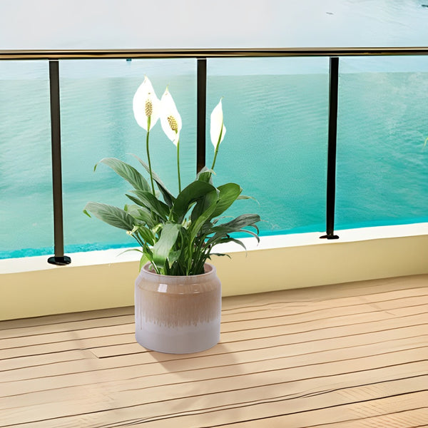 English Elm Set Of 2 Gradient Ceramic Flowerpots - Modern Indoor/Outdoor Planters For Elegant Plant Displays W3273P322301-GIGA