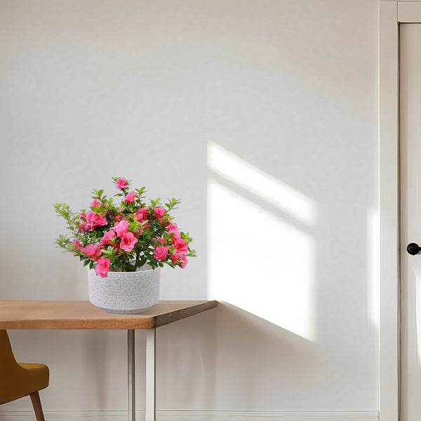 English Elm 2 Pieces Ceramic Flowerpot Set - Elegant Milk White Planters Perfect For Indoor & Outdoor Décor W3273P322550