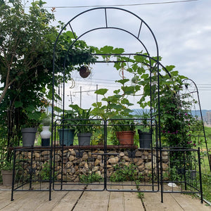 English Elm Garden Arch Arbor Trellis With Gate - Durable Metal Design For Climbing Plants, Weddings & Patios W840P321539