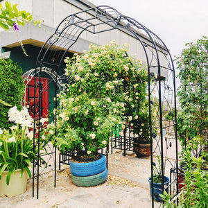 English Elm Metal Garden Arch Powder Coated Steel Trellis for Climbing Roses Outdoor Weddings Black W1586P268772