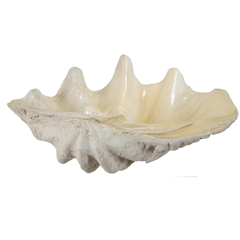 English Elm 25.3x16.5x8.5" Oversized Clam Shell Sculpture Glossy Coastal Decor Display Piece W2078P491173