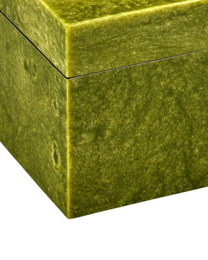 Currey & Company Rina Box: Elegant Decorative Storage With Mesmerizing Organic Patterns For Your Cherished Items Green Composite ,Engineered Wood 1200-1024-currey-company