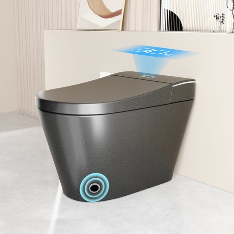 English Elm Unique Intelligent One-piece Toilet with Integrated Bidet Heated Seat and Auto Lid Grey W3133P414566