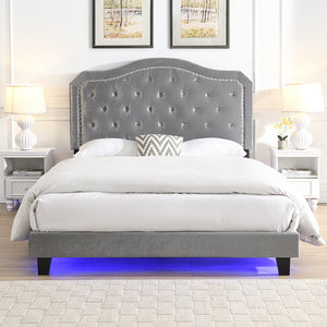 English Elm Upholstered Diamond Button Tufted Platform Bed with Velvet, LED Ambient Lighting, Sturdy Slats Light Gray 65.75 L x 34.43 W x 4.72 H W2297P268386