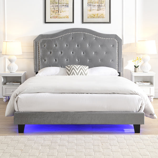 English Elm Upholstered Diamond Button Tufted Platform Bed with Velvet, LED Ambient Lighting, Sturdy Slats Light Gray 65.75 L x 34.43 W x 4.72 H W2297P268386