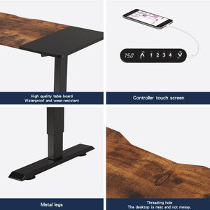 English Elm 55"×24" Electric Sit Stand Desk Steel Frame with Memory Presets and Usb-c Charging Port Black+Brown W614P376260