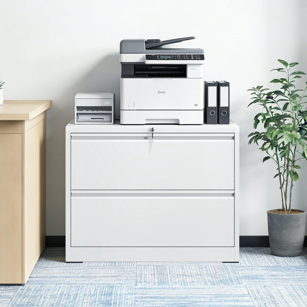English Elm Lateral Steel Filing Cabinet Two Drawer Locking Anti-tip Home Office Storage W2735P428819