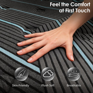 English Elm Twin Hybrid Mattress 10 Inch Pocketed Coil Memory Foam Medium Firm Sleep Support Black+Blue W2889P423130