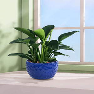 English Elm 3 Pieces Ceramic Planter Pot Set - Artisan Antique Blue Flowerpots For Indoor And Outdoor Spaces W3273P321523