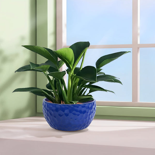 English Elm 3 Pieces Ceramic Planter Pot Set - Artisan Antique Blue Flowerpots For Indoor And Outdoor Spaces W3273P321523