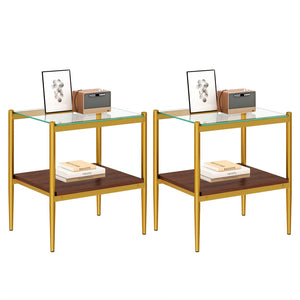 English Elm Set Of 2 Modern Rectangle End Tables With Tempered Glass Top, Mdf Shelf & Sturdy Iron Legs W241P184248-GIGA