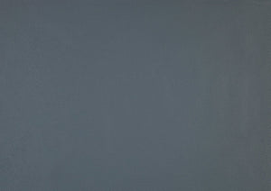 English Elm Leather Slipper Chair Top Grain Leather Upholstered Accent Seat High-Density Foam Durable Comfort Blue 29.5 L x 33.5 W x 26.75 H B011P315626