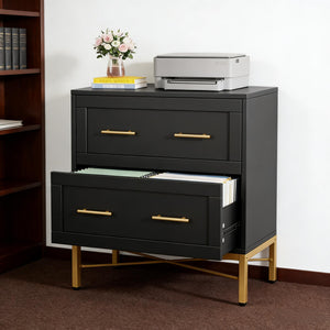 English Elm Multi-functional Nordic Filing Cabinet White Two Drawer Gold Handle Home Office Storage Black T3971P449965