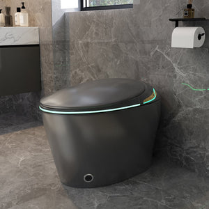 English Elm Unique Smart One Piece Toilet with Bidet Foot Sensor Auto Lid Warm Dryer Night Light W3133P384914