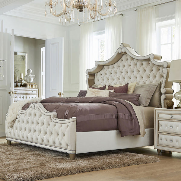 English Elm Justine Ivory Velvet Tufted Queen Bed with Camel Trim, Crystal Buttons, Chrome Nailhead Glam Finish B062S00712