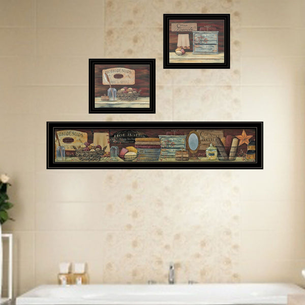 English Elm "country Bath 1" Pam Britten Triptych Wall Art Black Framed Pastoral Cottage Print Set B06786769