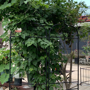 English Elm Metal Garden Trellis Set - Durable 2-Piece Climbing Plant Support For Stylish Indoor/Outdoor Decor W840P321536