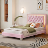 English Elm Twin Size Upholstered Bed Frame With Led Lights,Modern Velvet Platform Bed With Tufted Headboard,Pink